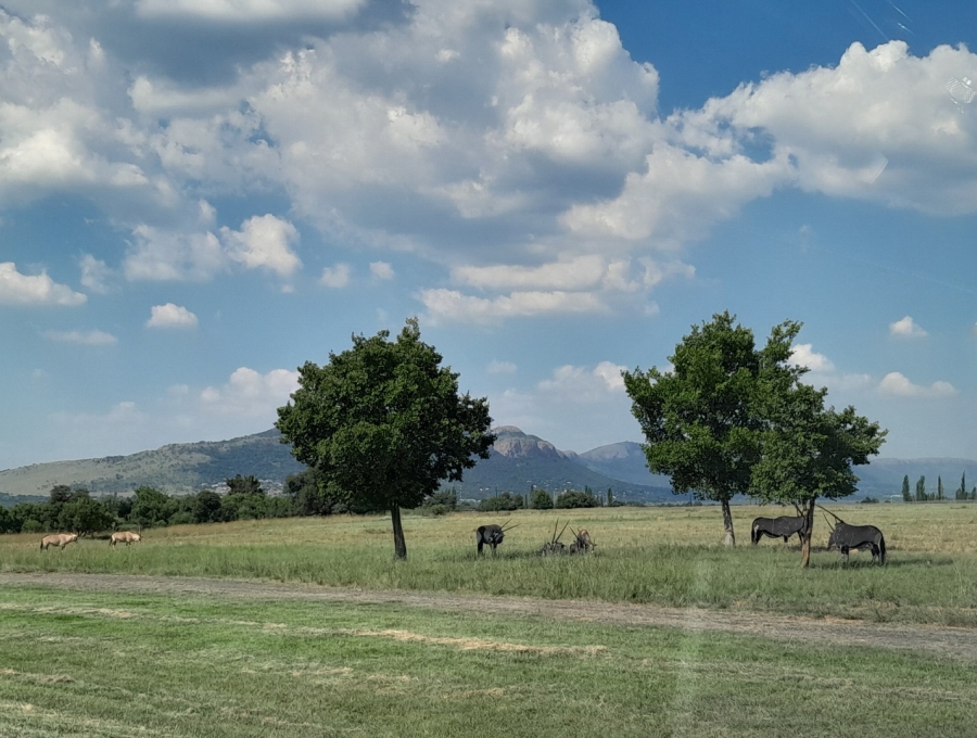 0 Bedroom Property for Sale in WestLake Country Safari Estate North West